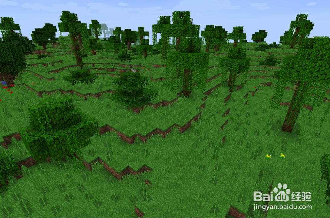 我的世界最稀有的5个生物群系是什么?