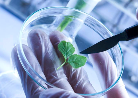 初中生物的学习方法生物到底应该怎么学习