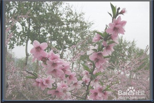 用光影魔术手如何将图片变淡