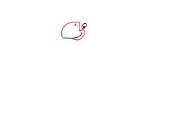 简笔画---怎么画鹦鹉