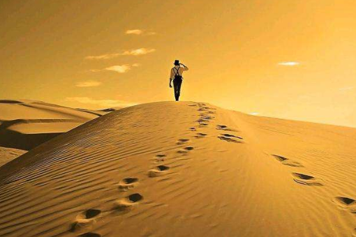 一步步和一步一步的区别