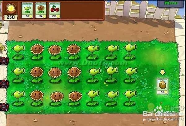 《植物大战僵尸》第一大关详细流程攻略