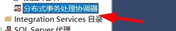 SQL Server如何自定义报表
