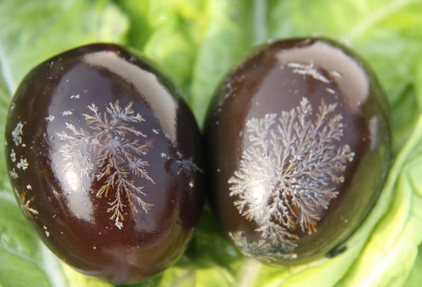 皮蛋为什么又叫“松花蛋”