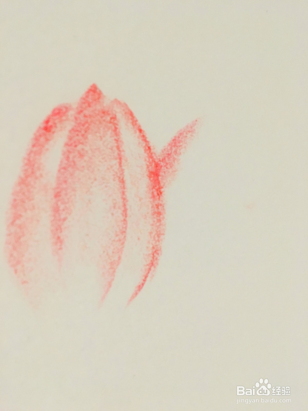 怎样用油画棒画荷花？