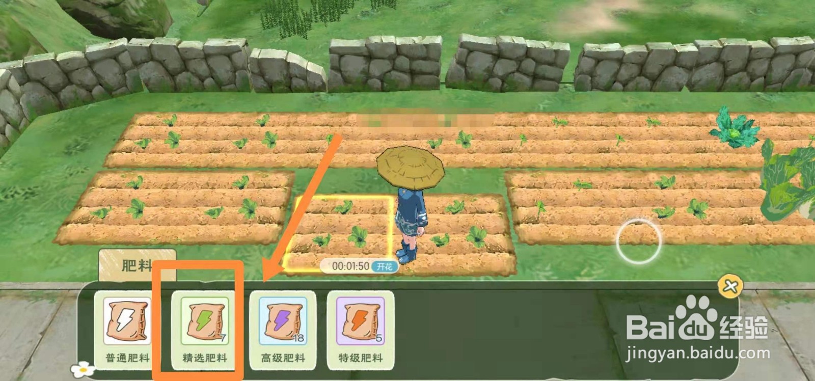 小森生活怎么如何让种植的白菜马上成熟