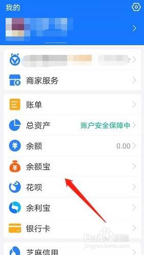 支付宝如何调整字体大小