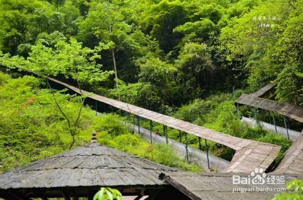 2016暑假张家界旅游(自助游省钱版)