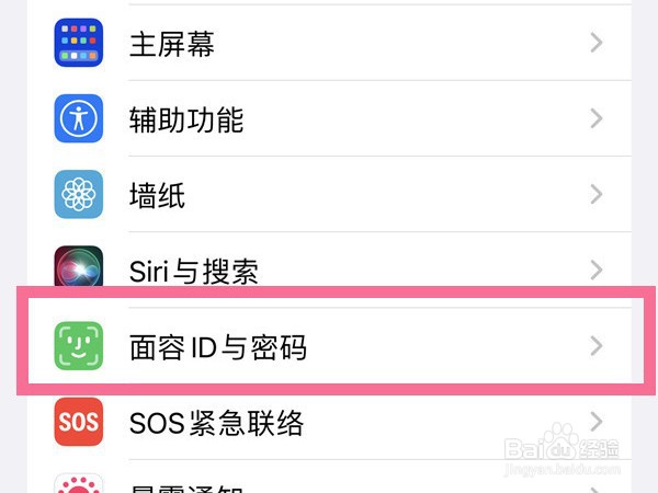 苹果手机如何设置替用外貌