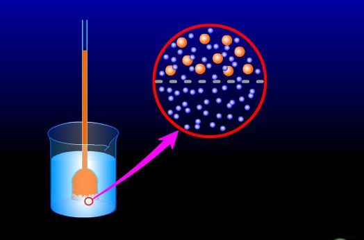 渗透作用中膜两侧容易的浓度指的是质量百分比浓度吗