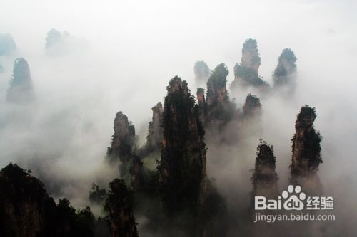 带你游觅张家界8大勾魂玄幻景点