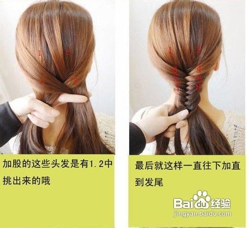 图释鱼骨辫的编发