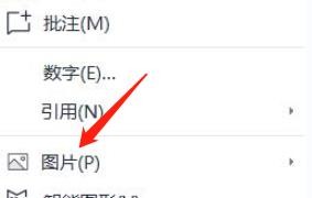 在wps中怎么快速插入图片