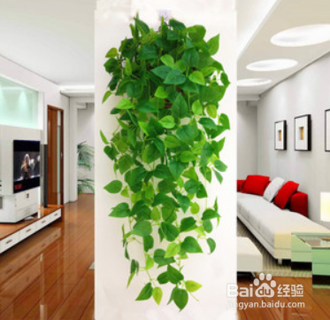 新房怎么快速去甲醛