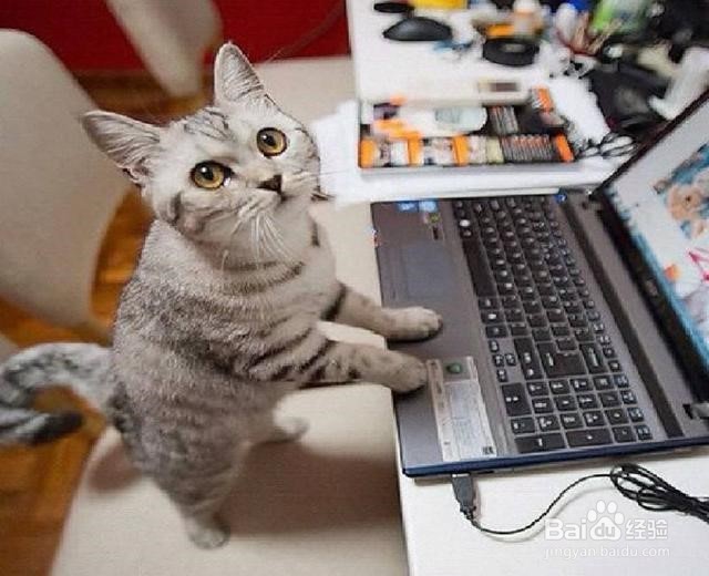 老公喜欢玩游戏不理我怎么办