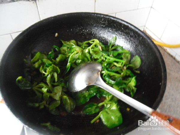 蚝汁穿心莲的做法