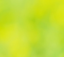 谈恋爱的几个要点