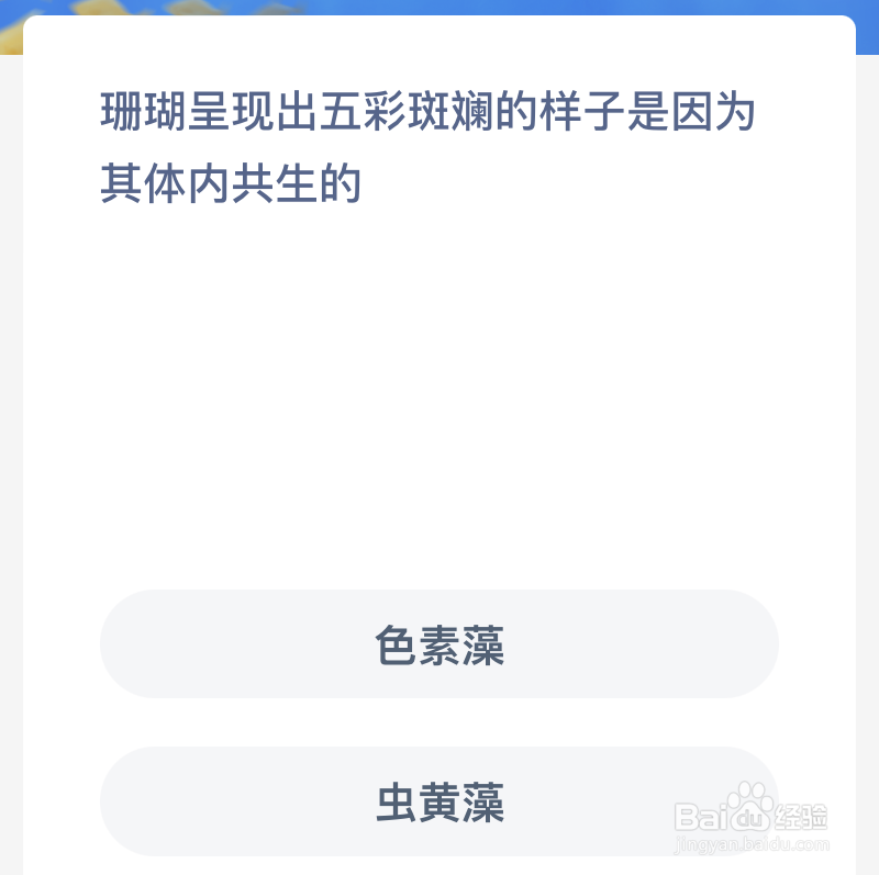 神奇海洋珊瑚呈现出五彩斑斓的样子是因为其体内