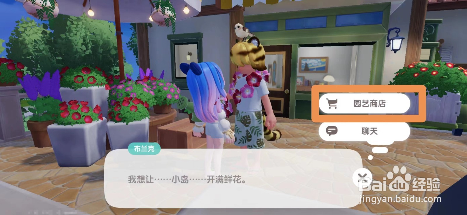 心动小镇红色雏菊种子怎么购买