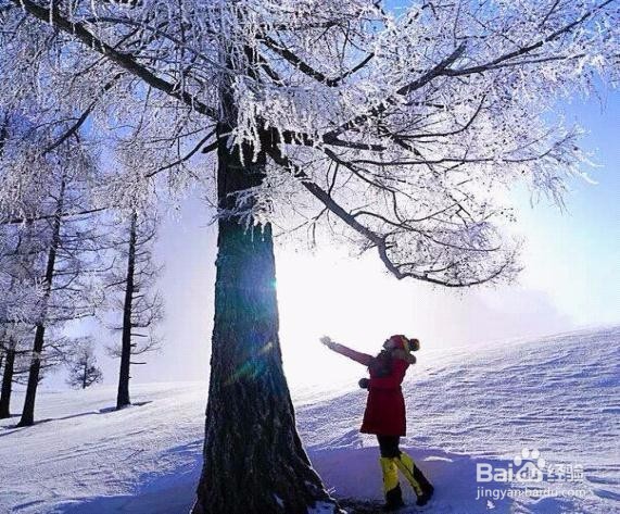 喀纳斯冬季旅游全攻略