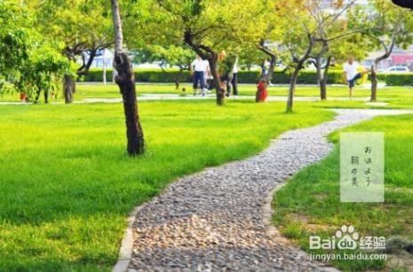 老年人运动有哪些注意事项