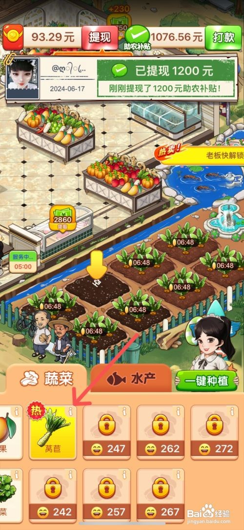 向往的小农院如何在空闲土地上种莴苣