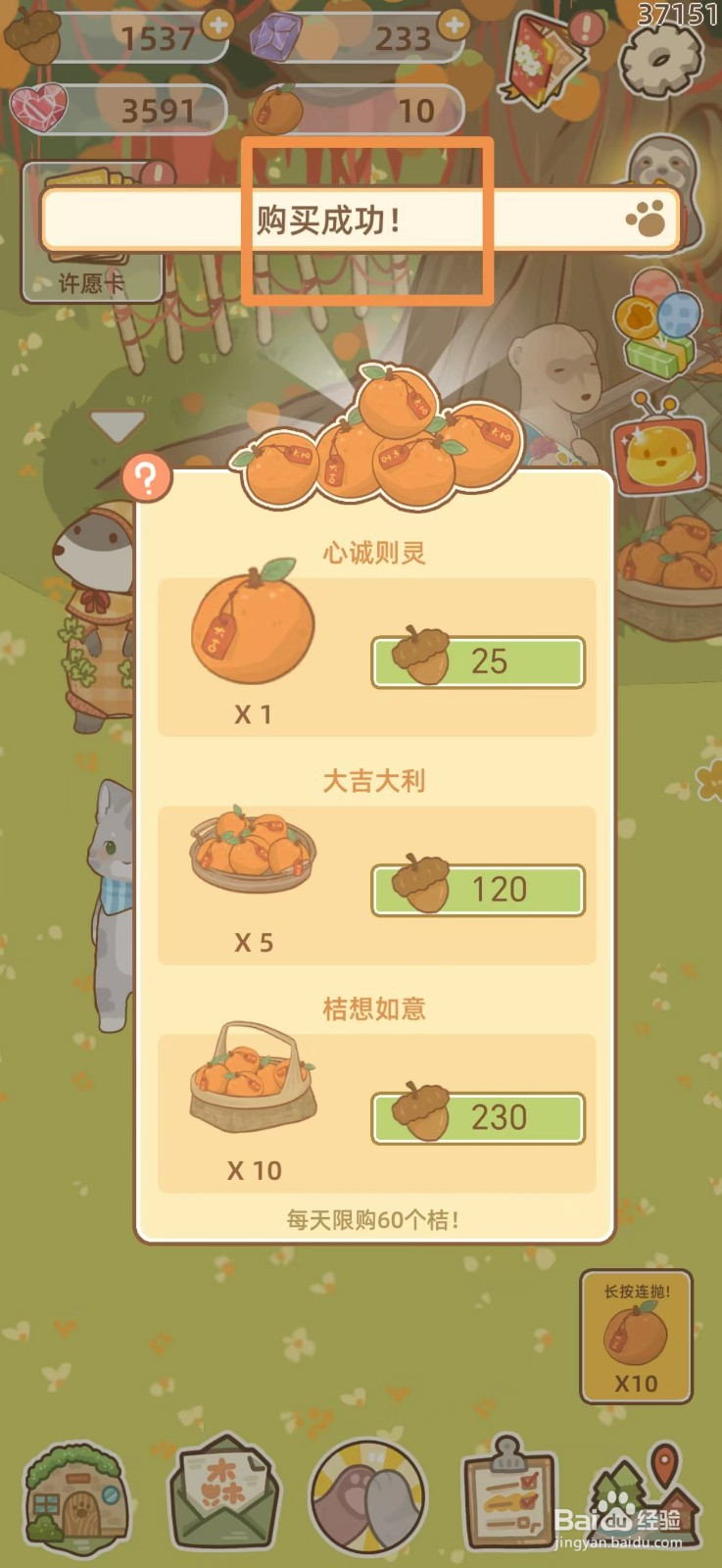 鼹鼠同行之森林之家怎么购买许愿橘