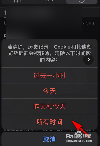 苹果手机浏览器如何清除历史记录
