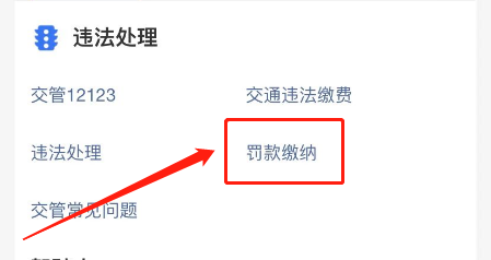 电子抓拍罚款必须30天处理么