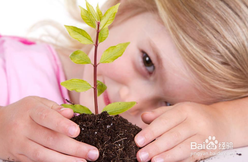 怎样更智慧的爱孩子