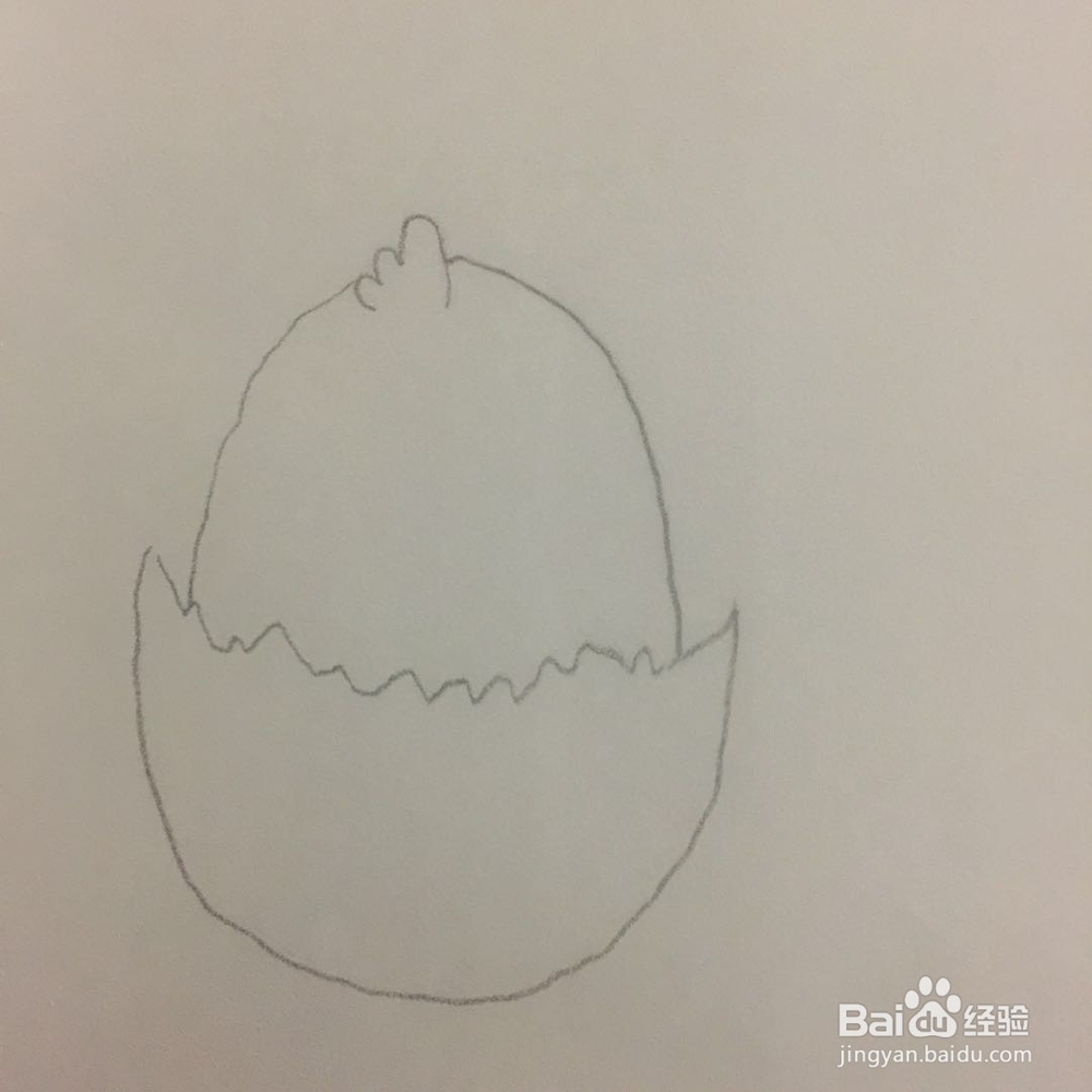 画小鸡的方法
