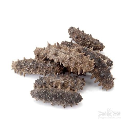 如何分辨假海参