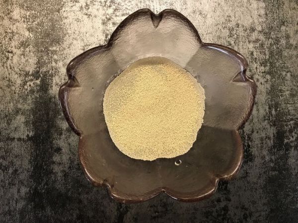 趴趴狗馒头#优思明恋恋冬日,我要稳稳的爱#