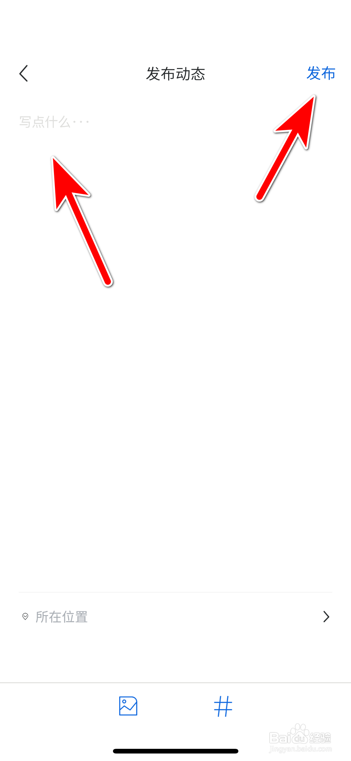 睿蓝汽车如何发布动态