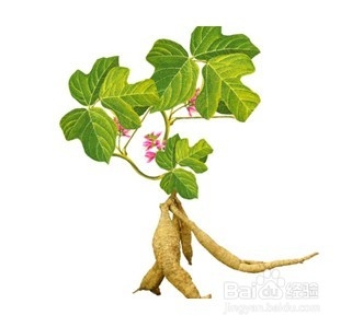 湘潭到张家界自驾游