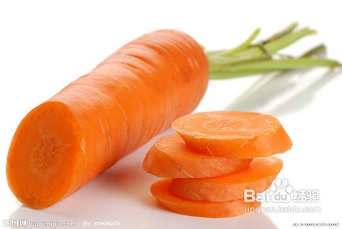 冬天保养肠胃的食物有哪些