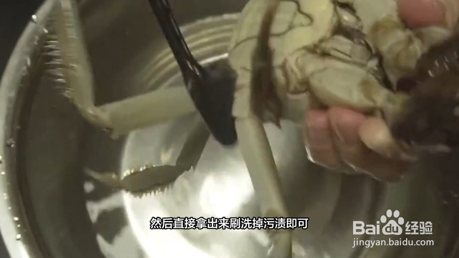 怎样洗螃蟹又快又干净