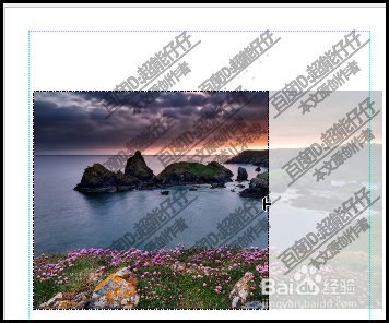 microsoft office publisher如何裁剪图片？