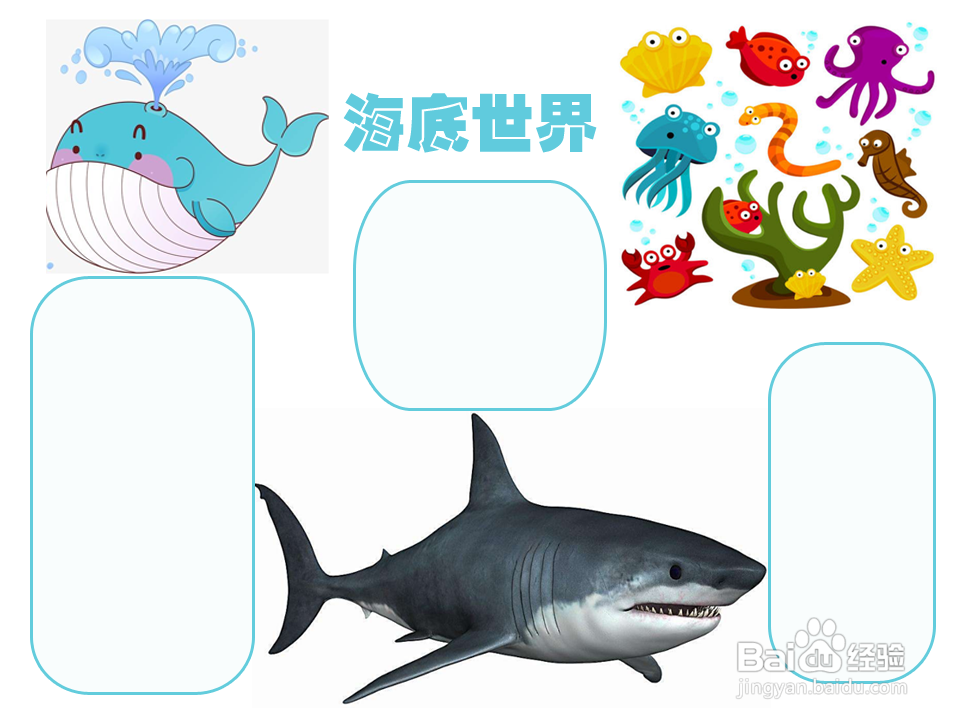 海底世界手抄报简单又漂亮