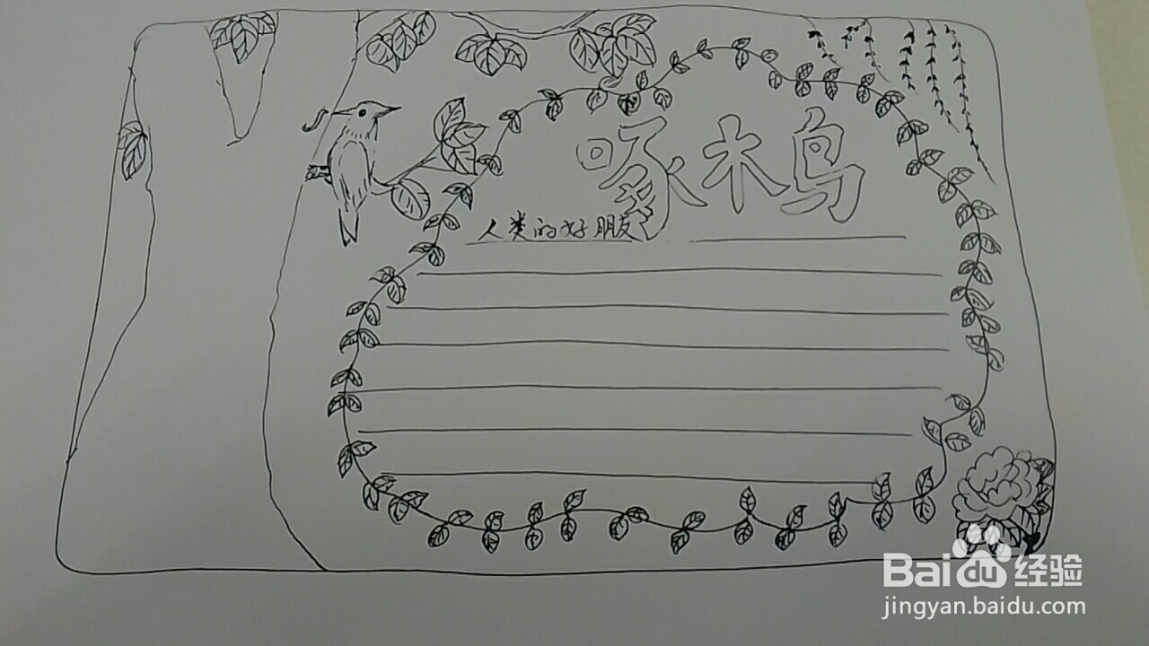 啄木鸟手抄报一等奖