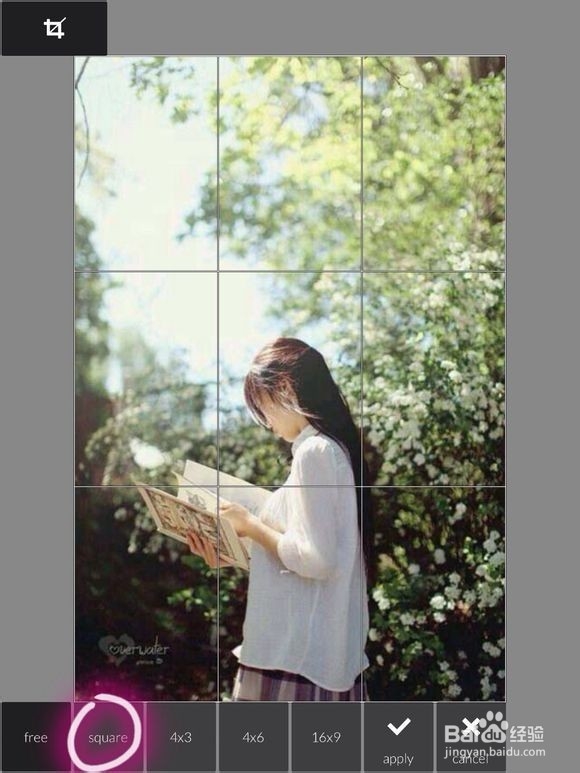 手机做个的壁纸