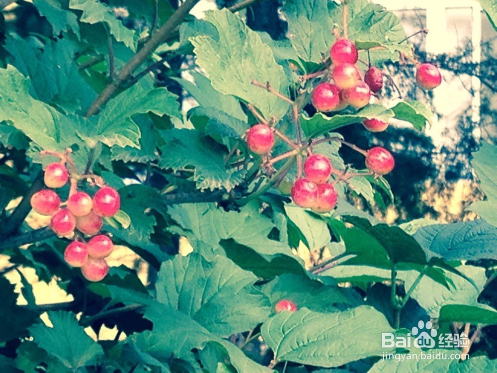 如果你的朋友虚荣心很强怎么办呢?