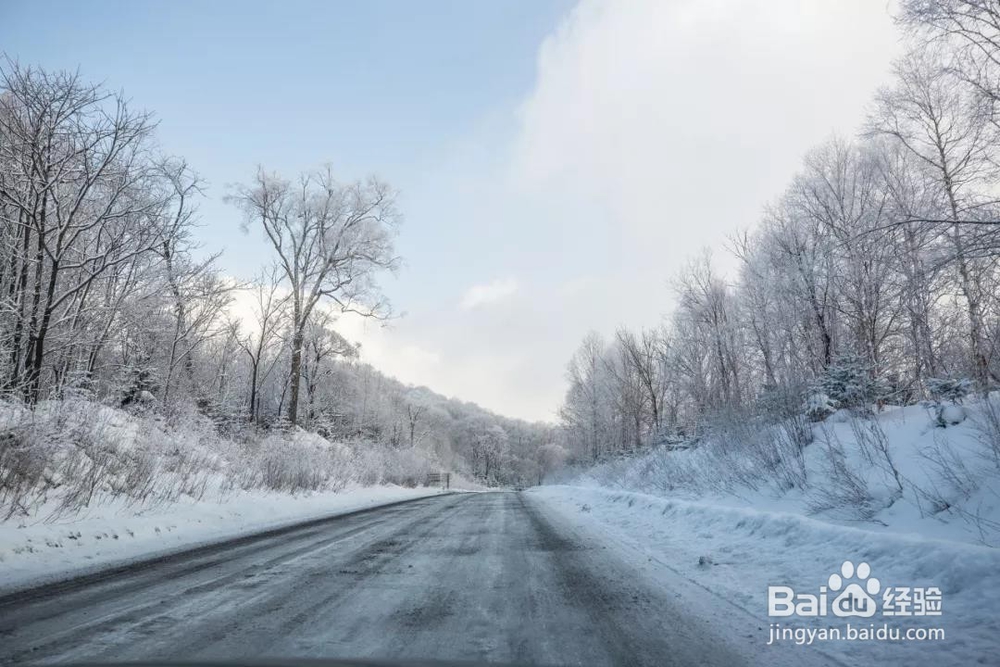 立冬——天气冷了给家人多一点“艾”