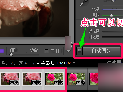 请问各位高手，在lightroom 中批量导出已经处理过的图片的具体操作过程是怎么样的呢
