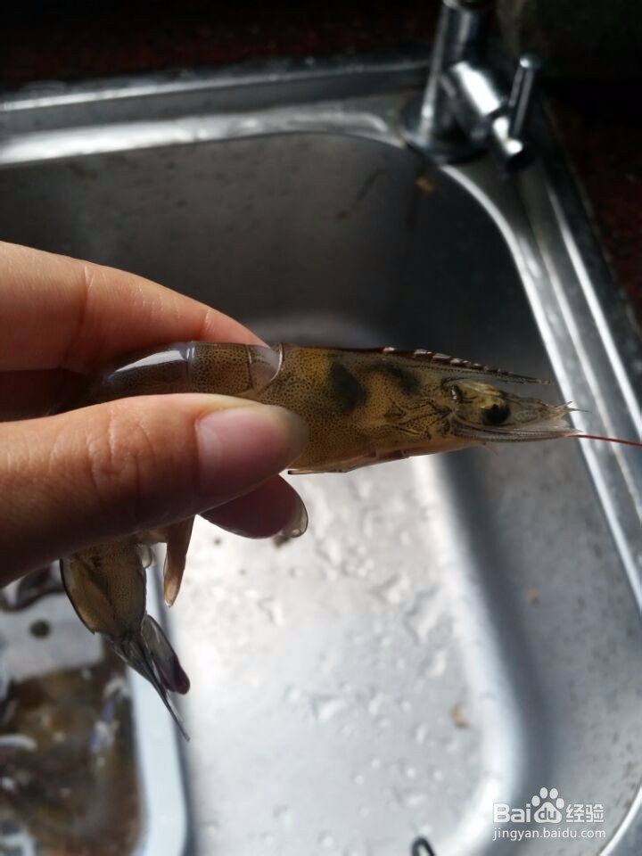 快速轻松除虾线