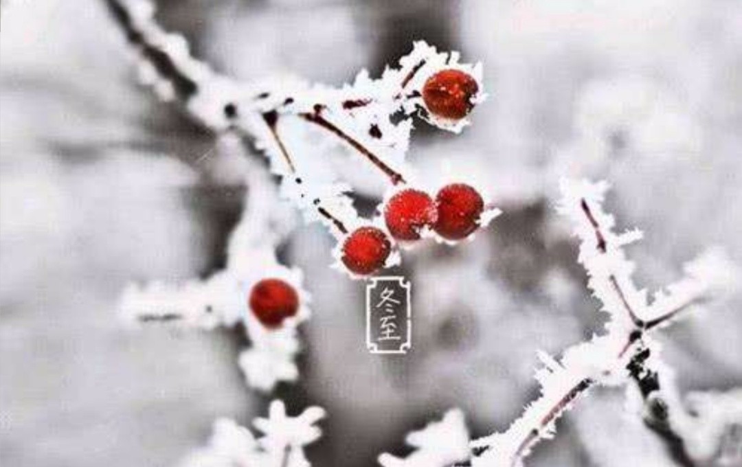 你来时冬至 但眉上风止