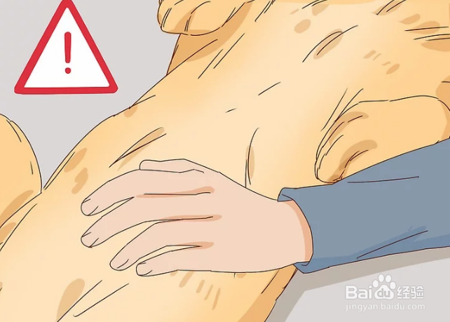 如何抚摸陌生的狗狗和熟悉的狗狗