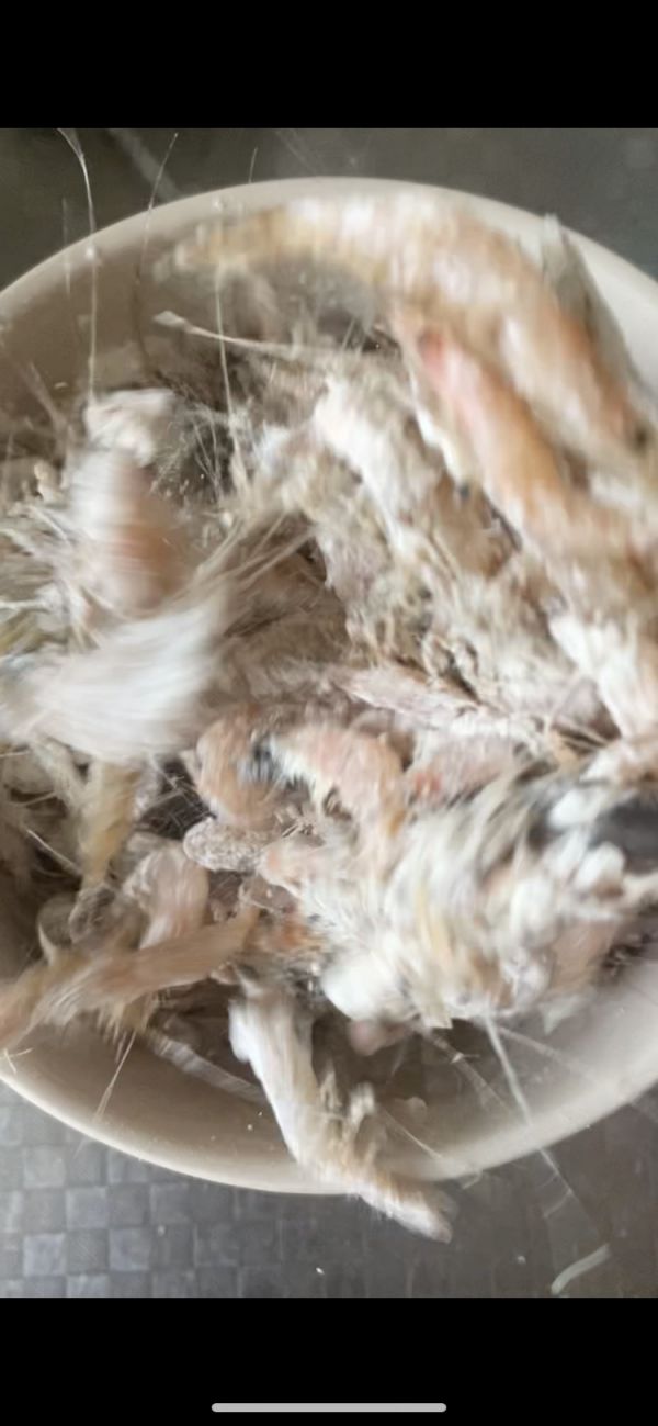 干炸香酥小河虾