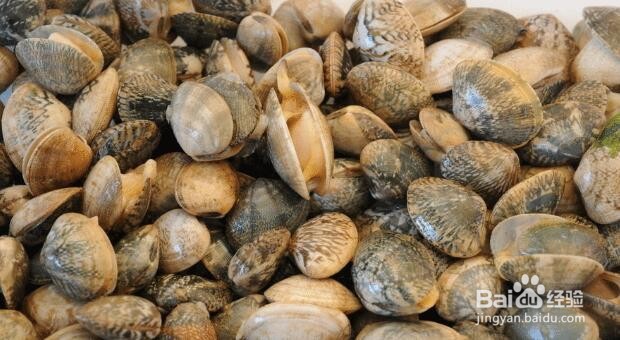 花蛤怎么判断死活