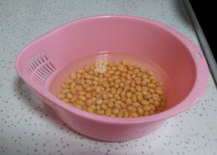 红枣核桃黄豆可以放在一起打豆浆吗
